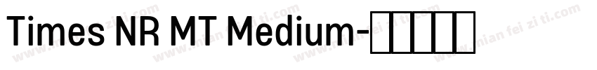 Times NR MT Medium字体转换
